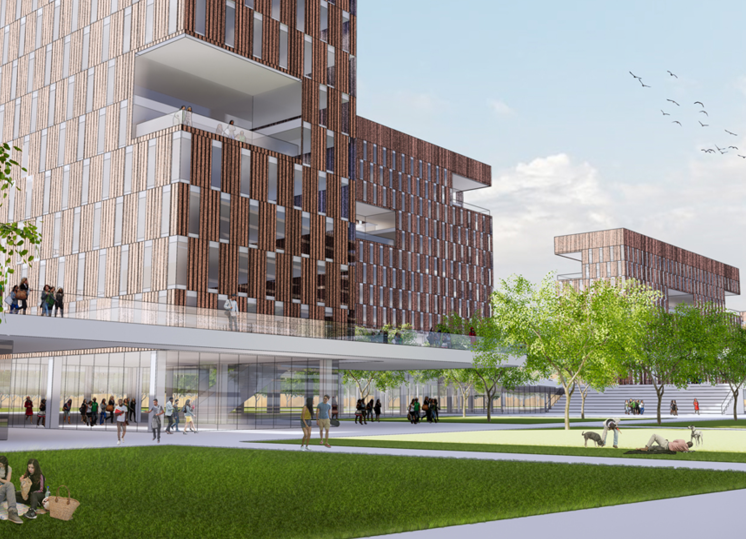 Sai University